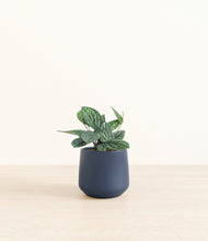 Load image into Gallery viewer, Deep Navy*****Profile
