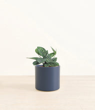 Load image into Gallery viewer, Deep Navy*****Profile
