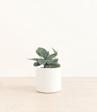 Load image into Gallery viewer, White*****Profile
