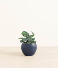 Load image into Gallery viewer, Deep Navy*****Profile
