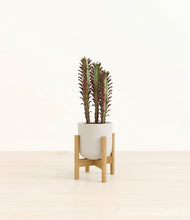 Load image into Gallery viewer, Natural Bamboo stand:bamboo
