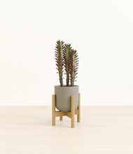 Load image into Gallery viewer, Sage Green stand:bamboo
