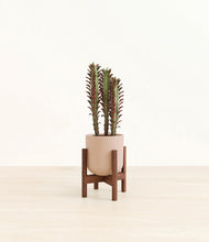 Load image into Gallery viewer, Sandy Pink stand:walnut
