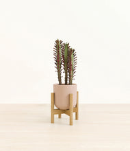 Load image into Gallery viewer, Sandy Pink stand:bamboo
