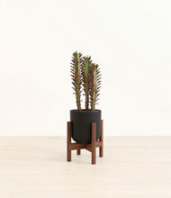 Load image into Gallery viewer, Stone Black stand:walnut
