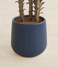 Load image into Gallery viewer, Deep Navy stand:all
