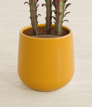 Load image into Gallery viewer, Mustard stand:all
