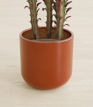 Load image into Gallery viewer, Glossy Red stand:all
