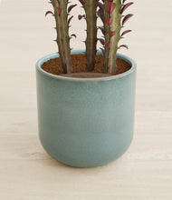 Load image into Gallery viewer, Reactive Aqua stand:all
