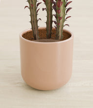 Load image into Gallery viewer, Sandy Pink stand:all
