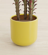 Load image into Gallery viewer, Key Lime Yellow stand:all
