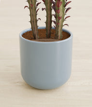 Load image into Gallery viewer, Misty Blue stand:all
