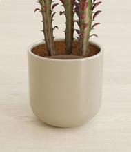 Load image into Gallery viewer, Sage Green stand:all
