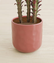 Load image into Gallery viewer, Hammered Rose Pink stand:all
