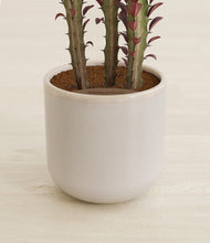 Load image into Gallery viewer, Snowdrift White stand:all
