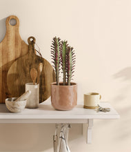 Load image into Gallery viewer, Hammered Peach Pink
