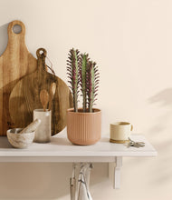 Load image into Gallery viewer, Striped Peach Pink
