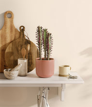 Load image into Gallery viewer, Striped Rose Pink
