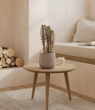 Load image into Gallery viewer, Eternal Gray
