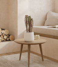 Load image into Gallery viewer, White
