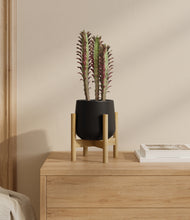 Load image into Gallery viewer, Black stand:bamboo
