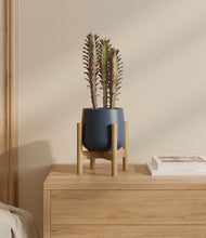 Load image into Gallery viewer, Deep Navy stand:bamboo
