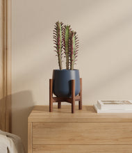 Load image into Gallery viewer, Deep Navy stand:walnut
