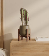 Load image into Gallery viewer, Olive stand:walnut
