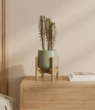 Load image into Gallery viewer, Turquoise stand:bamboo
