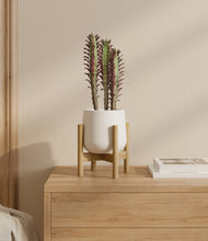 Load image into Gallery viewer, White stand:bamboo
