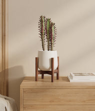 Load image into Gallery viewer, White stand:walnut
