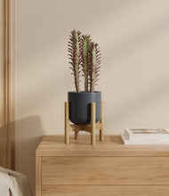 Load image into Gallery viewer, Iron Gray stand:bamboo
