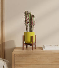 Load image into Gallery viewer, Key Lime Yellow stand:bamboo
