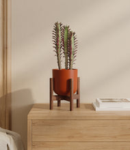Load image into Gallery viewer, Earth Red stand:walnut
