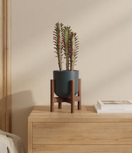 Load image into Gallery viewer, Iron Gray stand:walnut
