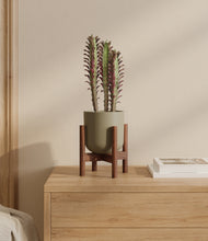 Load image into Gallery viewer, Sage Green stand:walnut
