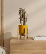 Load image into Gallery viewer, Sunset Orange stand:bamboo
