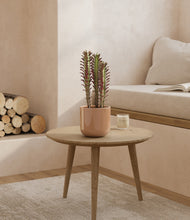 Load image into Gallery viewer, Glossy Pink
