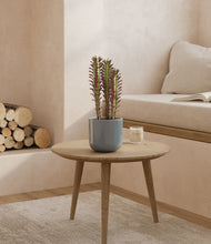 Load image into Gallery viewer, Misty Blue
