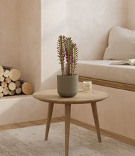 Load image into Gallery viewer, Sage Green
