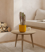 Load image into Gallery viewer, Sunset Orange
