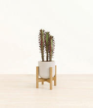 Load image into Gallery viewer, Snowdrift White stand:bamboo
