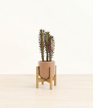Load image into Gallery viewer, Hammered Peach Pink stand:bamboo

