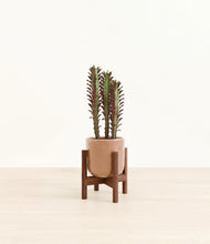 Load image into Gallery viewer, Hammered Peach Pink stand:walnut

