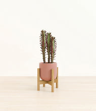 Load image into Gallery viewer, Striped Rose Pink stand:bamboo
