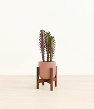 Load image into Gallery viewer, Striped Rose Pink stand:walnut
