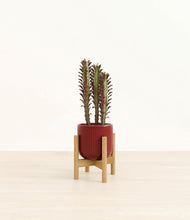 Load image into Gallery viewer, Striped Cherry Red stand:bamboo
