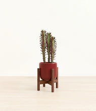 Load image into Gallery viewer, Striped Cherry Red stand:walnut
