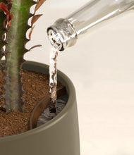 Load image into Gallery viewer, Olive stand:all
