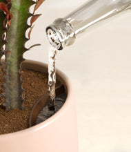 Load image into Gallery viewer, Gentle Pink stand:all
